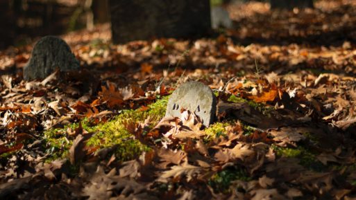 a grave in a pile of leaves