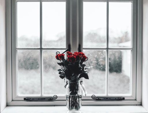flowers next to a window in the winter
