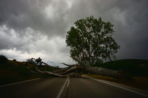 a tree fallen in the road on a stormy night