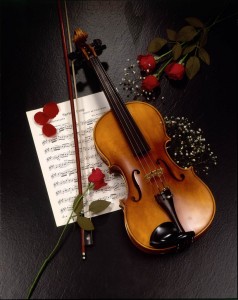 persian, iran, violin, music, ceremony, flowers