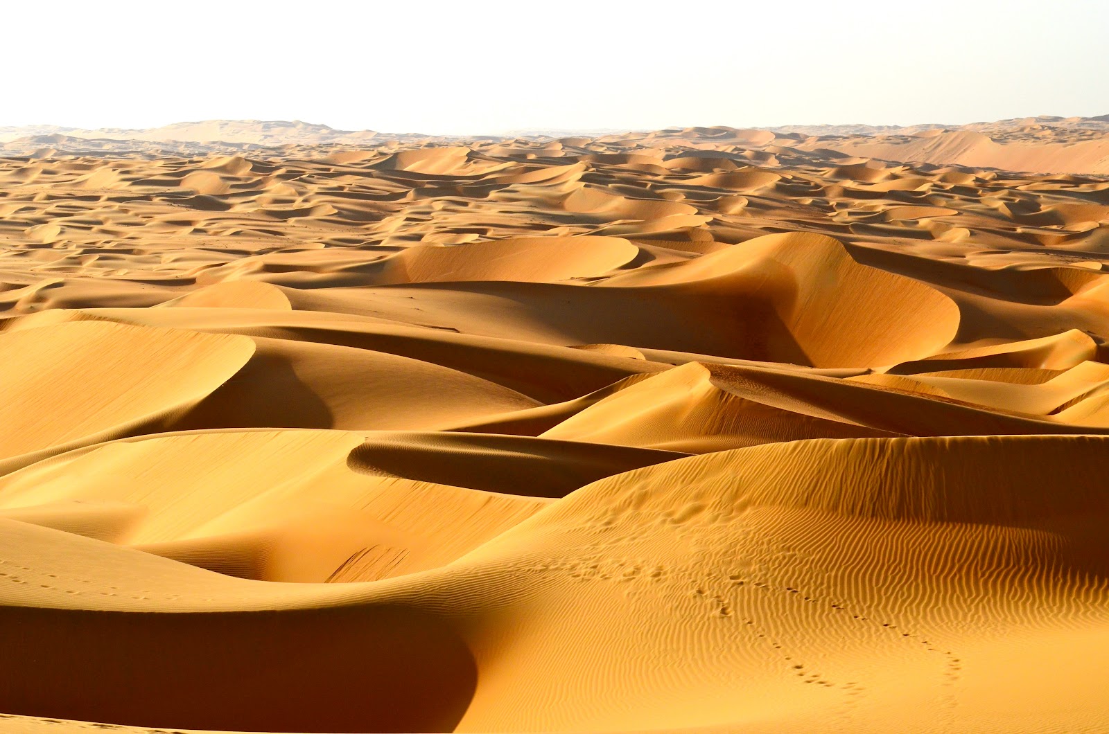 Arabian-Desert-1.jpg