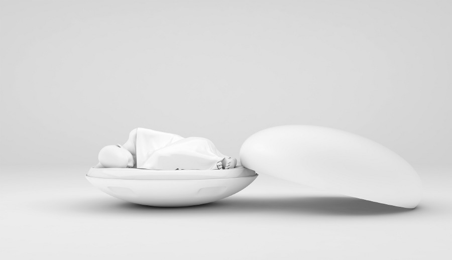 Womb Coffin, Project Womb