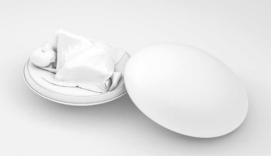 Womb Coffin, Project Womb