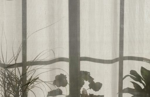 shadows on a curtain silhouette of flowers and plants