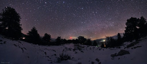 starry night in the winter