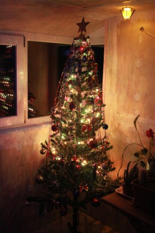Christmas-Tree-2011__73815-320x480