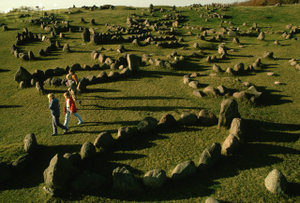 Viking-burial-mounds.jpeg