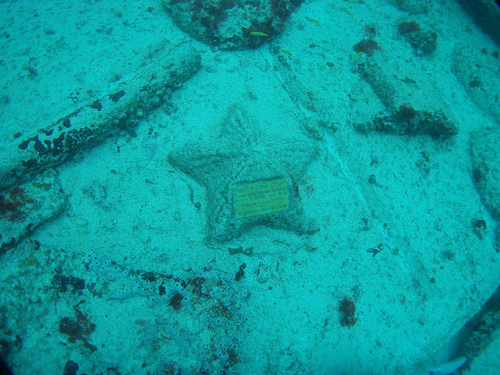 Neptune-Memorial-Reef-3
