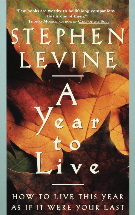 book cover for "a year to live" by Stephen levine