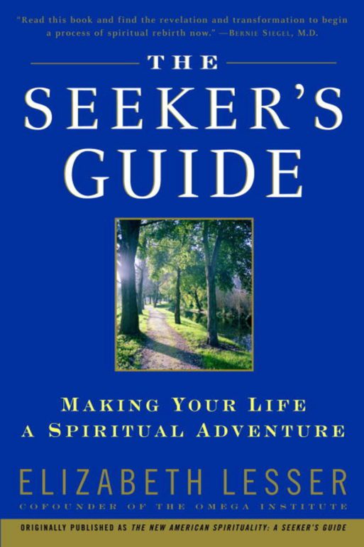 book cover for Elizabeth lesser's "the seekers guide"