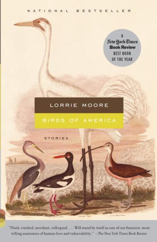 book cover for Lorrie Moore's birds of America