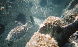 Reef balls depicting a sea burial