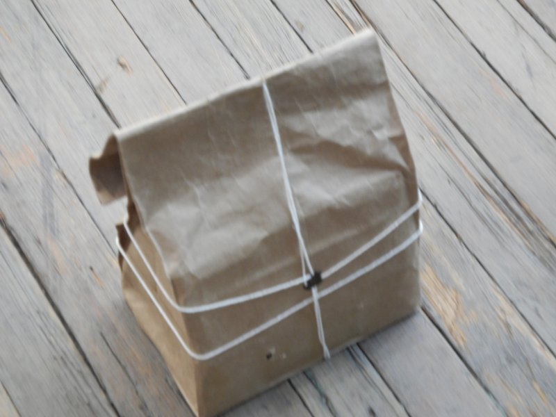 paper bag with cremation ashes