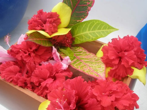 tropical flower decoration, ashes decoration, ashes scattering ideas, red flowers