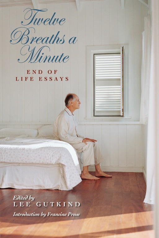 Twelve Breaths a Minute: End-of-Life Essays