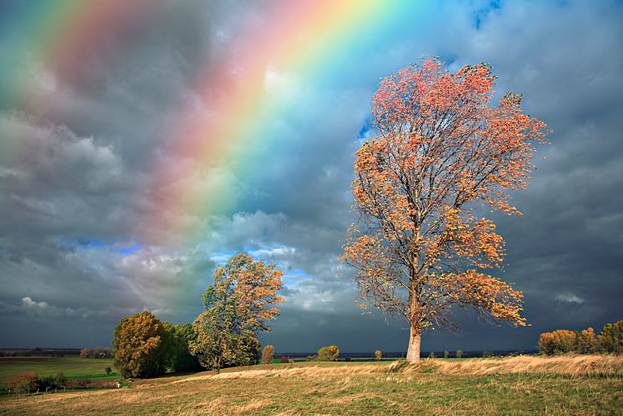 Rainbow like a Poem
