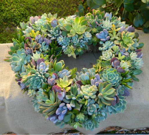Succulent wreath, Succulent craft, DIY succulent, plant wreath, make your own wreath, memorial wreath, memorial craft, DIY plant project