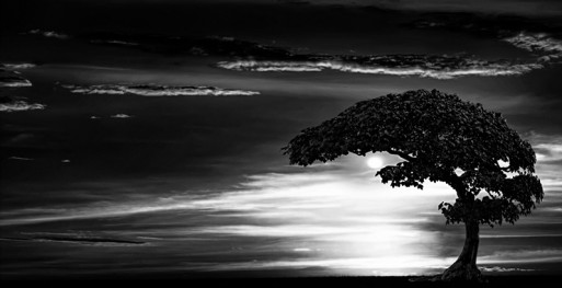 Darkness with moon and tree and clouds