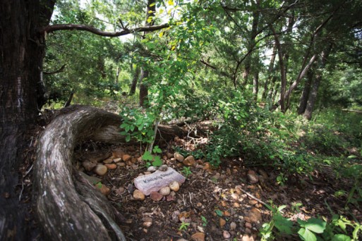 A gravesite at Eloise Woods natural burial park