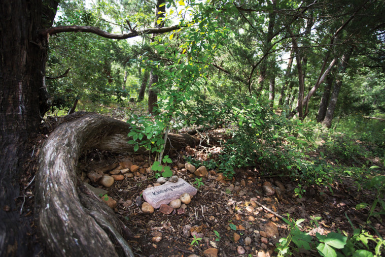 A gravesite at Eloise Woods natural burial park