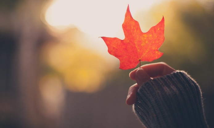 girl-hand-holding-an-autumn-red-maple-leaf-694x417