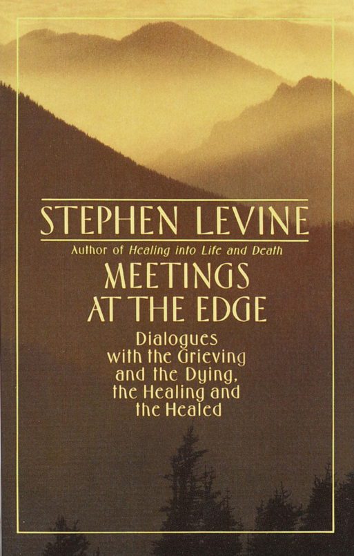 book cover for "meeting at the edge" by Stephen levine