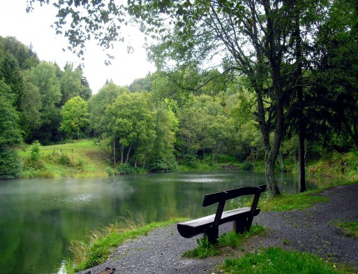 A nature scene with relaxing lake, green trees, and small rocks.