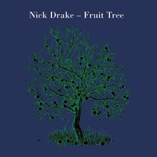 album cover for nick drake's "fruit tree" 