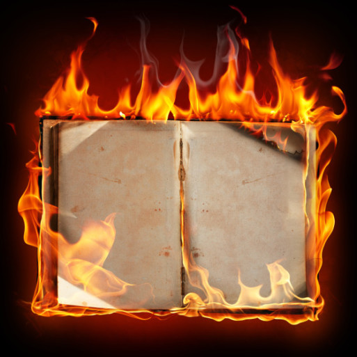 burning-of-books1