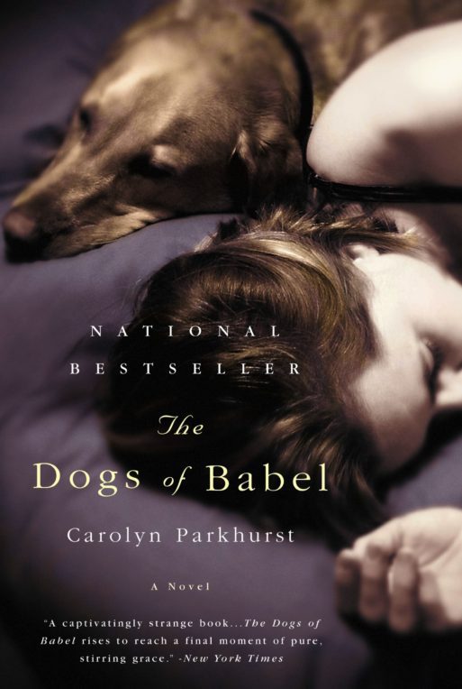 cover for the book "dogs of babel"
