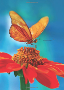 yellow butterfly on a red flower from a book on healing from a loss
