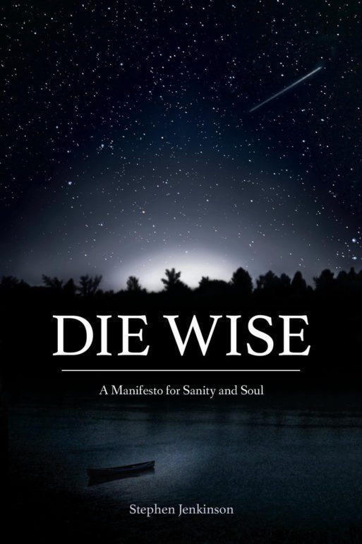 Book cover for Stephen Jenkinson's "Die wise"