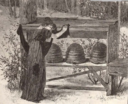 Putting bees into mourning 