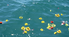 flowers and biodegradable cremation urn floating at sea
