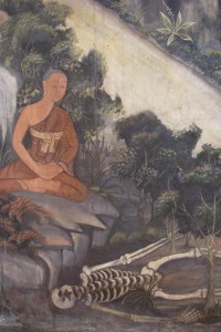 buddhist monk practicing corspe mediation