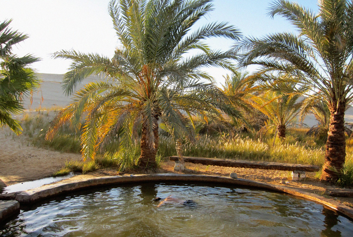 Tom Philips feigns death in a pool surrounded by palm trees