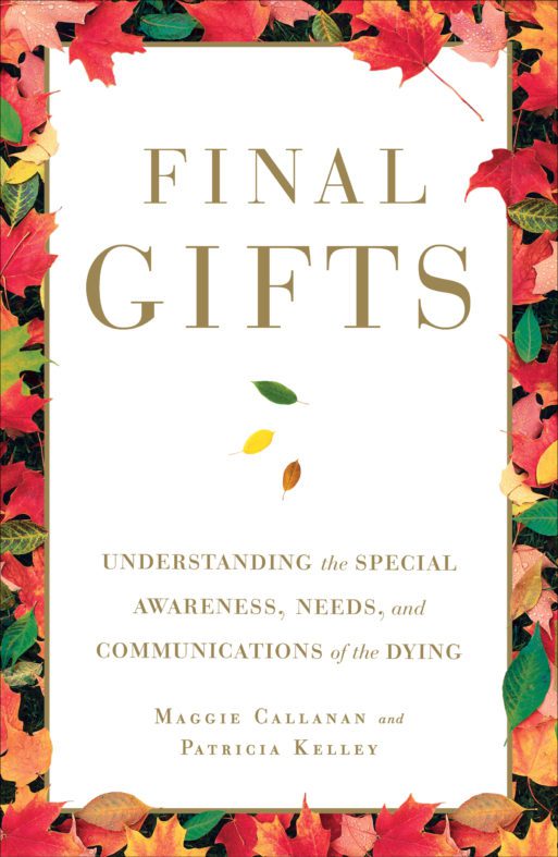 final gifts book cover