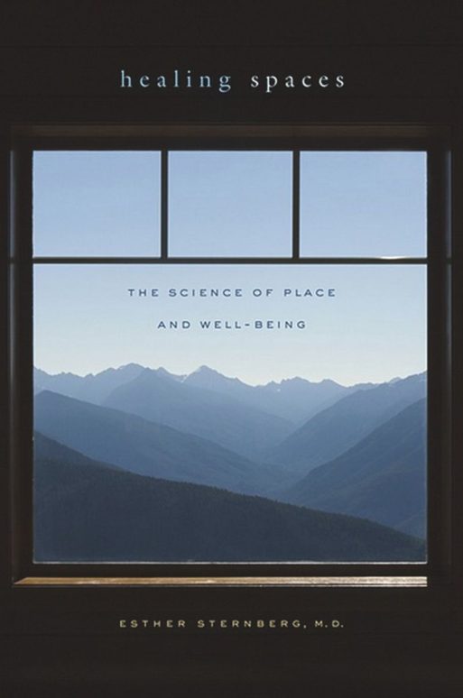 healing spaces book cover
