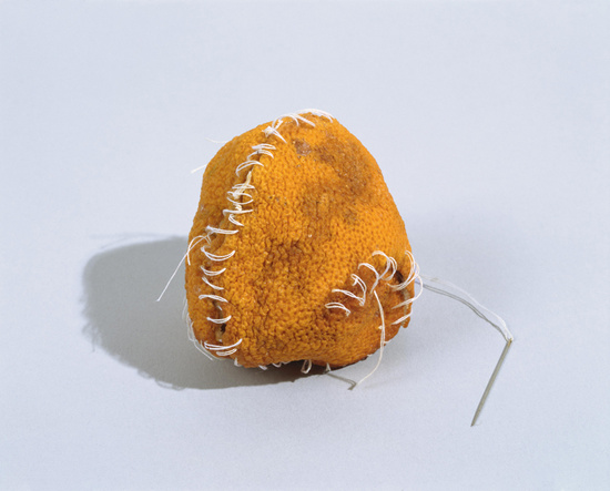 Still life and death