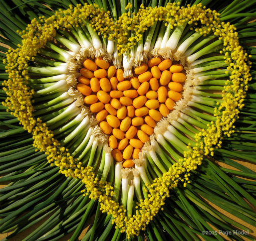 Handmade heart of scallions and seeds