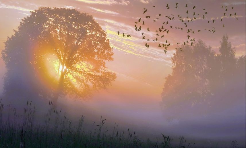 Credit: kosmothinking.wordpress.com