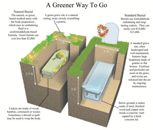 Illustration green burial versus traditional burial