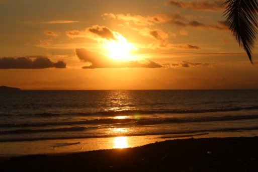 beach sunset sunset to ponder a death