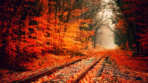 fall foliage and railroad tracks signify transition from life to death