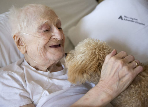 A hospice patient bonds with a new puppy