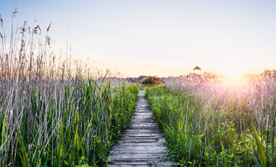 A path to the ocean symbolizes the end of life