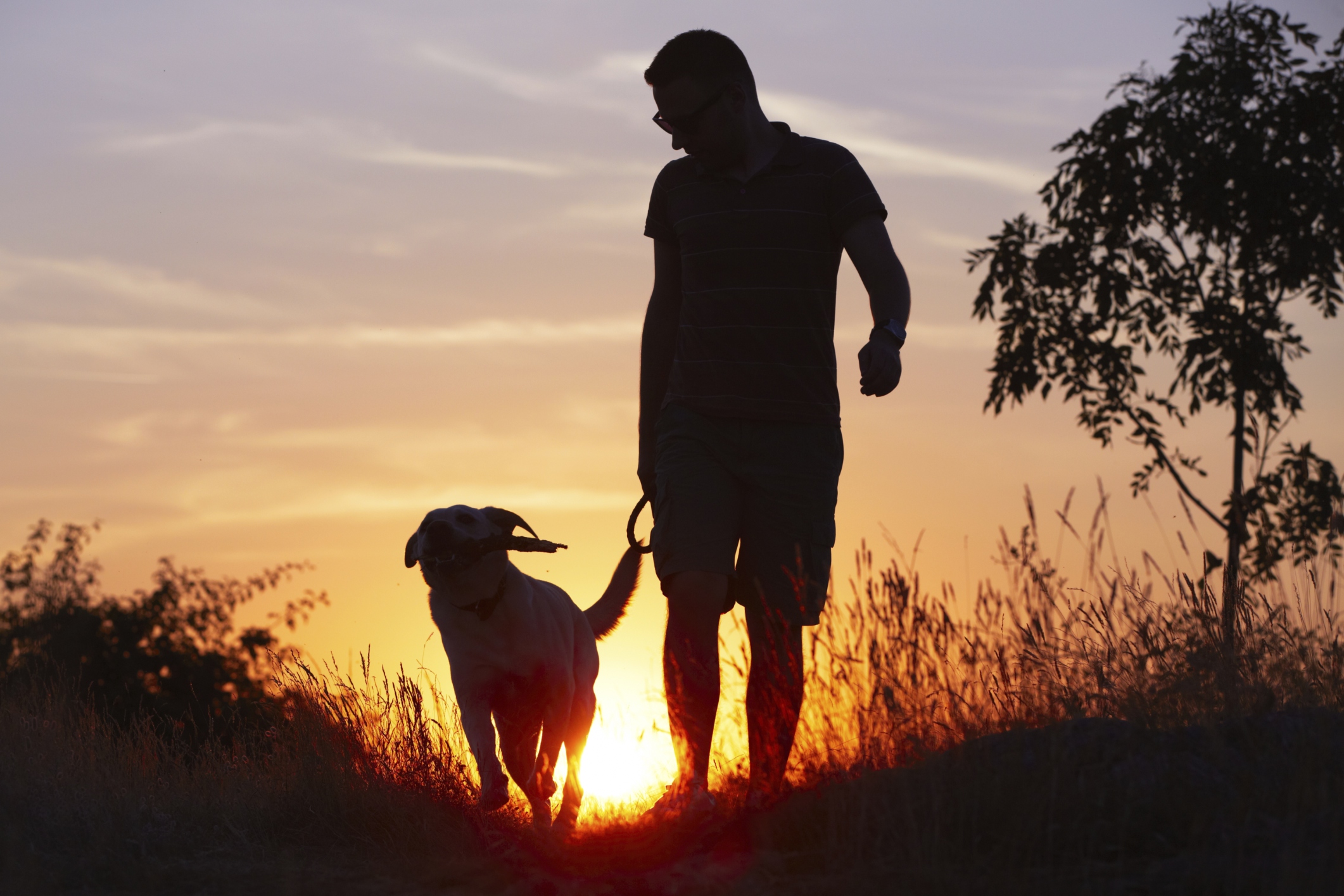 A man and his dog against the sunset, similar to Enzo and Denny in ...Racing in the Rain.