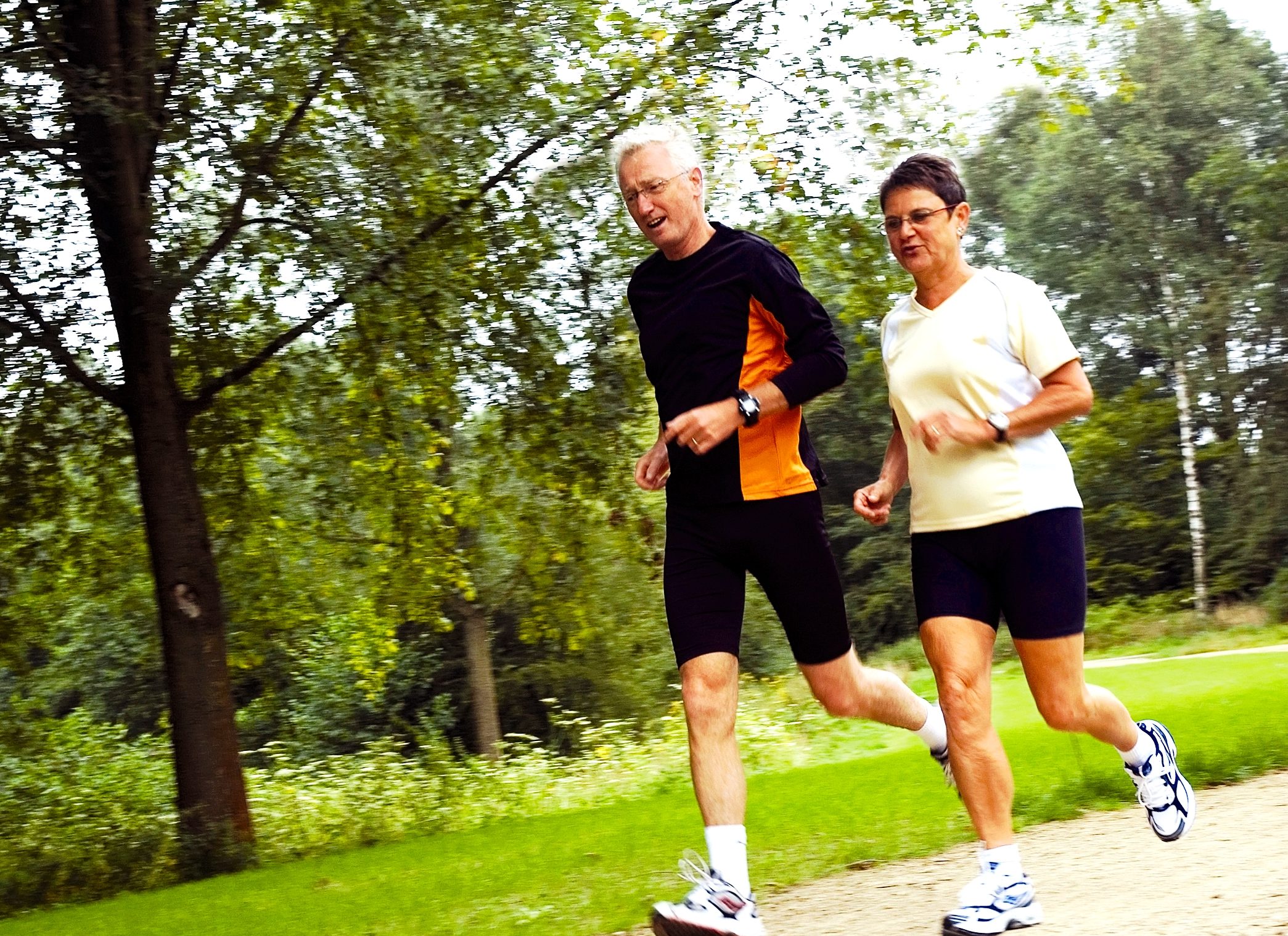 Seniors running in the woods.