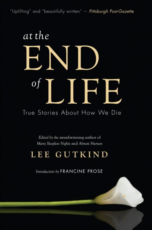 Cover of At the End of Life 