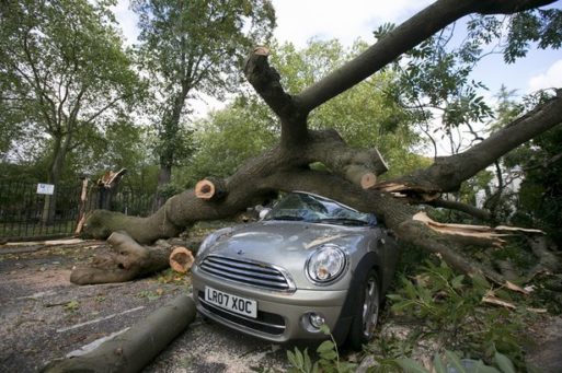 Fallen tree on a car after a storm as described in Remnant
